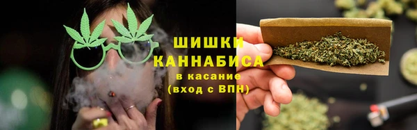шишки Сясьстрой