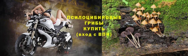 метадон Беломорск