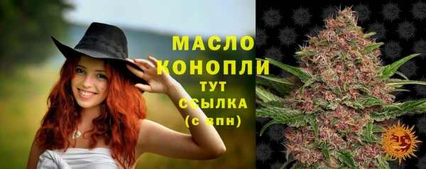 шишки Сясьстрой
