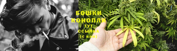 молекула духа Белокуриха