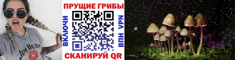 Псилоцибиновые грибы Psilocybe  гидра рабочий сайт  Велиж 
