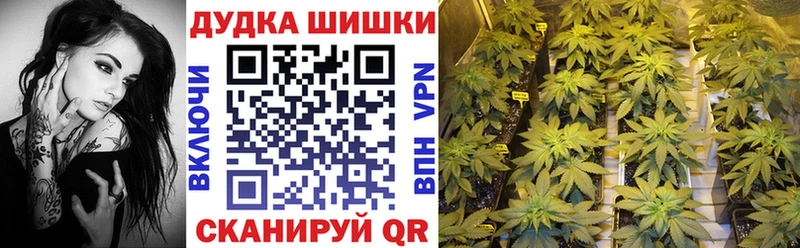 Бошки Шишки SATIVA & INDICA blacksprut tor Велиж где купить наркотик
